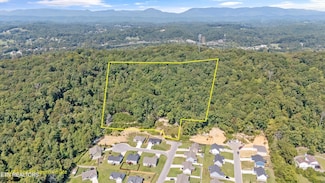 211 Jason Hovater Way, Clinton, TN 37716