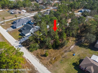 0 Day Owl Ave, Weeki Wachee, FL 34613