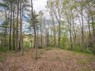 196 Deer Wood Ln, White Sulphur Springs, WV 24986