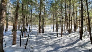 34 Landsdown Ln Unit 34, Conway, NH 03818