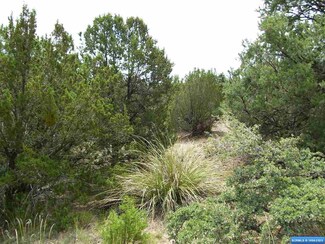 318 Las Palomas Rd Unit Lot 23, Mimbres, NM 88049