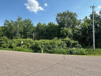 TBD 169th Ave NE, Ham Lake, MN 55304