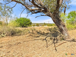 1133 County Road 118, Burnet, TX 78611