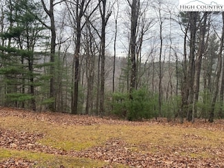 TBD Jobs Rd, Laurel Springs, NC 28644