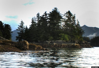 0 Legal Address Only Unit Iffish Island 25307, Sitka, AK 99835