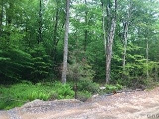 Lot #4 Lillian's Ln, Vienna, NY 13042