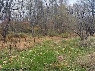 130 Appleton Way, Mill Creek, WV 26280