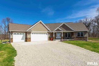 3 Netties Hollow, Rapids City, IL 61228