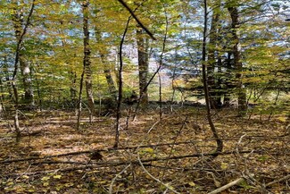 00 New Hampshire 123, Sharon, NH 03458