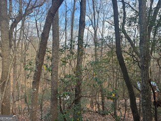 0 Geneva Place Unit 10648186, Sautee Nacoochee, GA 30571