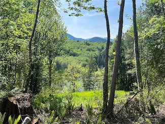 2 XXX Leland Valley Rd W, Quilcene, WA 98376