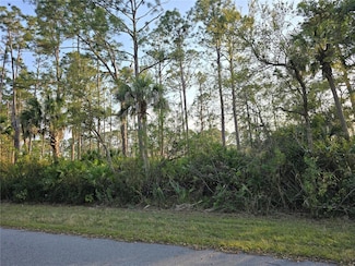 12469 Harlow Ave, Port Charlotte, FL 33953