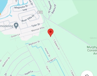 409 Madison St, Satsuma, FL 32189