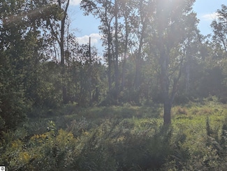 N/A E Andrews Rd, Tawas City, MI 48763