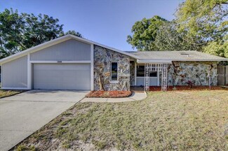 1359 Wexford Dr S, Palm Harbor, FL 34683