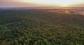 0 Tbd Red Bud Rd, Sturkie, AR 72578
