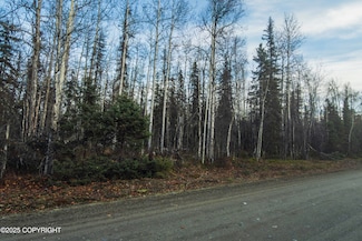 59737 Grizzly Way, Willow, AK 99688