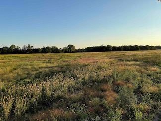 0000 N Medora Rd, Medora Township, KS 67502