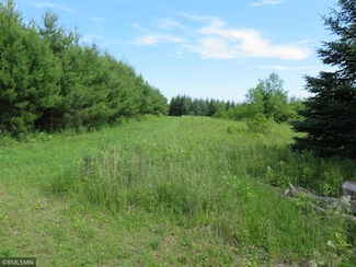 TBD County Rd E, Apple River Township, WI 54810