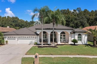 1257 Kings Way Ln, Tarpon Springs, FL 34688