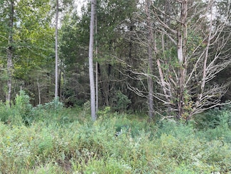 Lot 27 TBD Cedarpark Place, Lindale, TX 75771