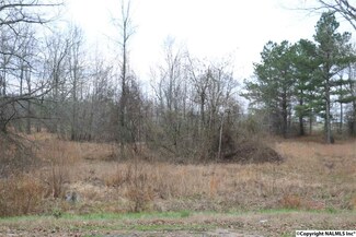 0 Upper Elkton Rd Unit 1062907, Ardmore, AL 35739