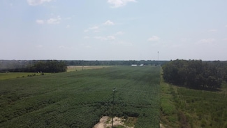 4994 Freeman Rd, Blakely, GA 39823