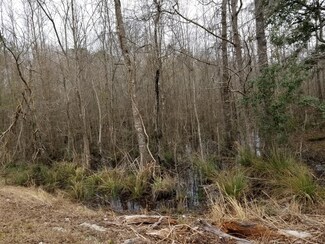 0 Pynes Community Rd Unit 24004533, Green Pond, SC 29446