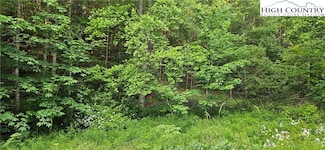 0 Chestnut Dale Rd, Newland, NC 28657