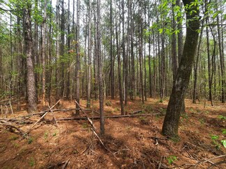 0 Yellow Jacket Rd Unit 23-680, Carbon Hill, AL 35549
