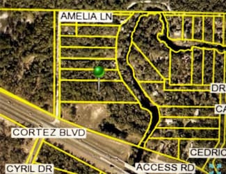 0 Amelia Ln, Dade City, FL 33523
