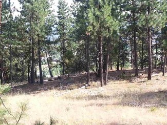 19XXX E Granite Ln, Otis Orchards, WA 99027