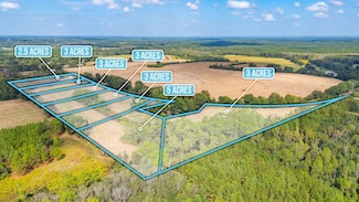 3 Acre -D Prescott Rd, Florala, AL 36442