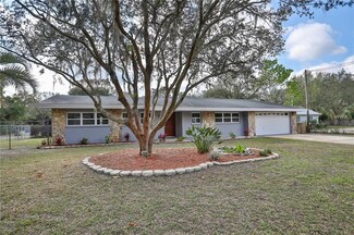 16405 Hanna Rd, Lutz, FL 33549
