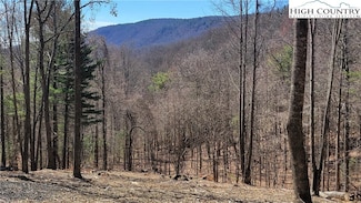 2 Phillips Gap Rd, West Jefferson, NC 28694