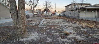 1020 Palmer St, Delta, CO 81416