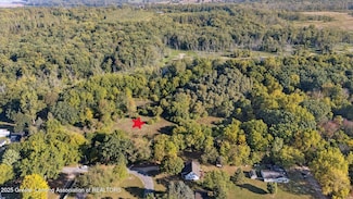 V/L Mill St, Maple Rapids, MI 48853