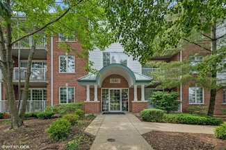 541 N Hough St Unit 205, Barrington, IL 60010