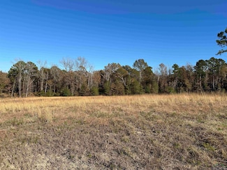 178 Eagle Creek Dr, Diana, TX 75640