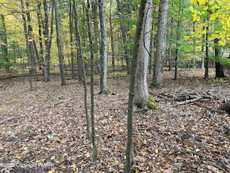 0 W White Oak Dr, Tannersville, PA 18372