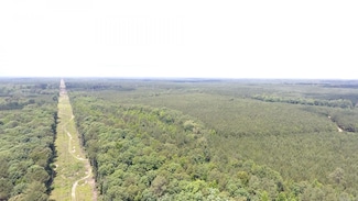 TBD W Tbd Bruce Trail White Hall Arkansas 71602, White Hall, AR 71602