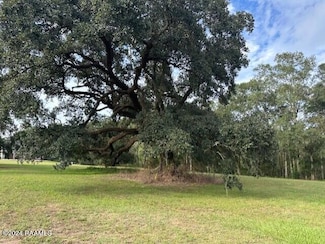Tbd Main Hwy, Arnaudville, LA 70512