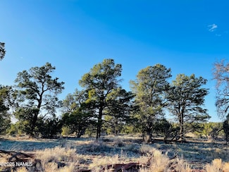 5390 N Windy Walk Way, Williams, AZ 86046