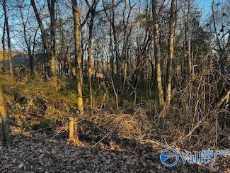 2603 Spicewood Trail NE, Huntsville, AL 35811