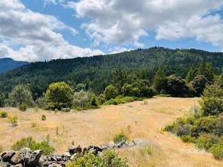 2185 Friday Ridge, Willow Creek, CA 95573