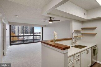 5505 Seminary Rd Unit 713N, Baileys Crossroads, VA 22041