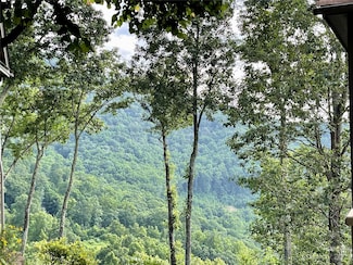 9 Starry Woods Ln, Burnsville, NC 28714