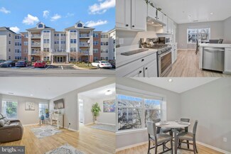 4500 Chaucer Way Unit 203, Owings Mills, MD 21117