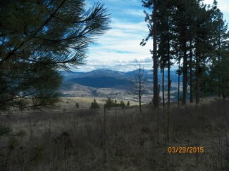 0 Graves Rd Unit 803236, Curlew, WA 99118