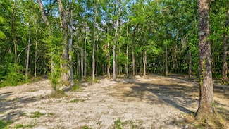 6386 Mesquite Dr, Mauriceville, TX 77632